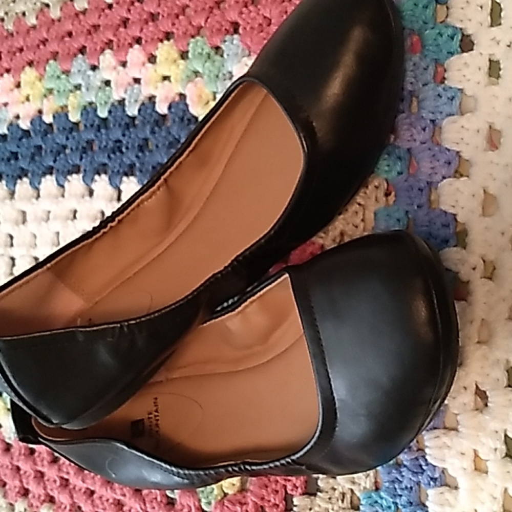 White Mountain Black Flats